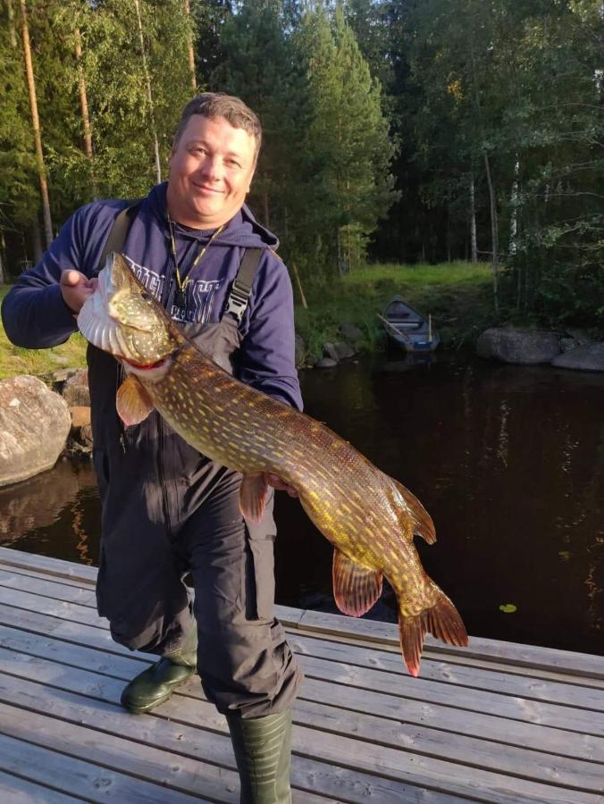 Viihtyisae Hirsimoekki Jaerven Rannalla Siikainen Exterior photo